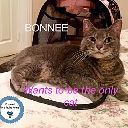 Thumbnail photo of Bonnee #1