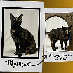 Thumbnail photo of Mystique #1