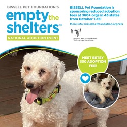 Thumbnail photo of Betsy- $50 Bissell Sponsored Adoption Fee! #1