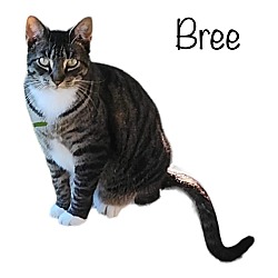 Photo of Bree