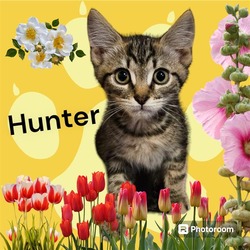 Photo of *HUNTER