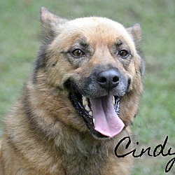 Thumbnail photo of Cindy ~ meet me! #3