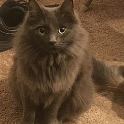 Photo of Bronny