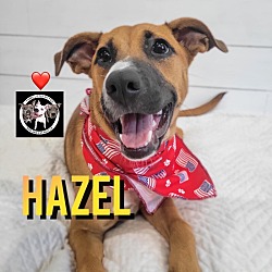 Thumbnail photo of Hazel Katia The Sweetest Soul #2