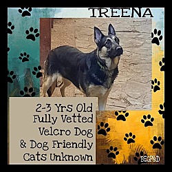 Photo of Treena-Good W/Kids, Dogs, don't know about cats