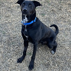 Photo of Duke