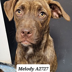Photo of Melody Hayes A2727