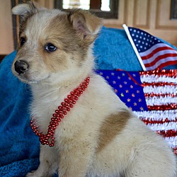 Photo of America