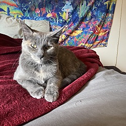 Photo of Lola
