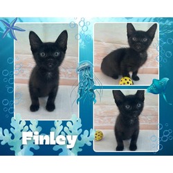 Photo of FINLEY