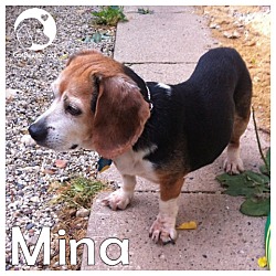 Thumbnail photo of Mina #1