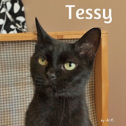 Thumbnail photo of Tessy #1