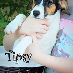 Thumbnail photo of Tipsy ~ meet me! #1