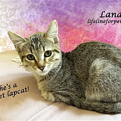 Photo of LANA (& Lenny)