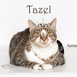 Thumbnail photo of Tazel #1