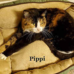 Photo of Pippi