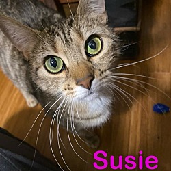 Photo of Susie