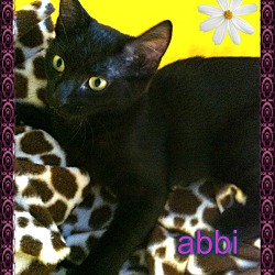 Thumbnail photo of Abbi #1