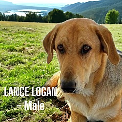 Thumbnail photo of Lance Logan #2