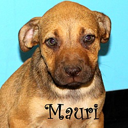Thumbnail photo of Mauri ~ meet me! #1