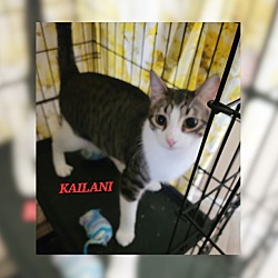 Thumbnail photo of Kailani #2