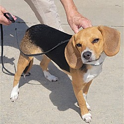 Photo of Rocky