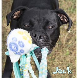 Thumbnail photo of Jack #2