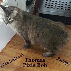 Thumbnail photo of Thomas 2016 #2
