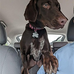 Photo of Buffy