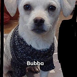 Thumbnail photo of Bubba #4