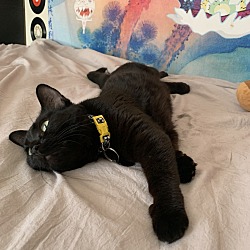Photo of Beno