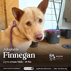 Thumbnail photo of Finnegan #1