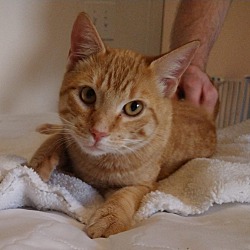 Thumbnail photo of Simba #1