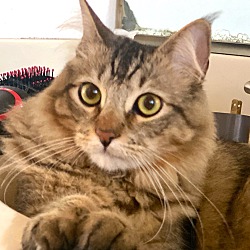 Photo of LEONARDO