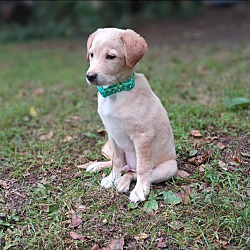 Photo of Ghost