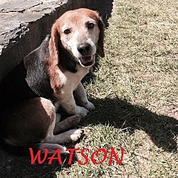 Thumbnail photo of WATSON #1