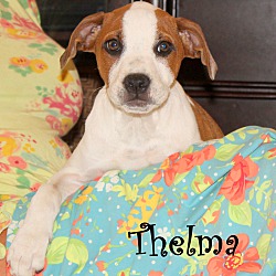 Thumbnail photo of Thelma ~ meet me! #4