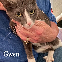 Thumbnail photo of Gwen #2