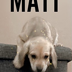 Thumbnail photo of Matt #1