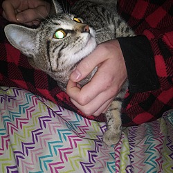 Photo of Luna