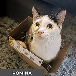 Thumbnail photo of Romina #1