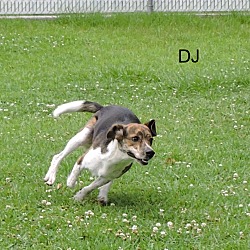 Thumbnail photo of DJ #2