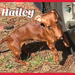 Thumbnail photo of Hailey #2