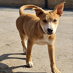 Photo of Kiara