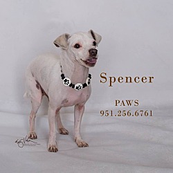 Thumbnail photo of SPENCER #1