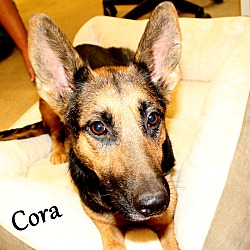 Thumbnail photo of Cora ~ meet me! #1