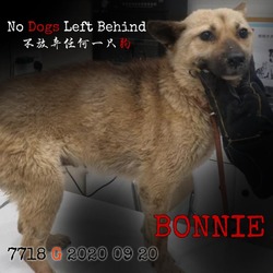 Thumbnail photo of Bonnie 7718 #2