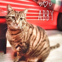 Thumbnail photo of Abby #1