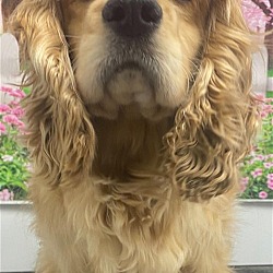 Photo of Emily