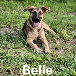 Thumbnail photo of Belle #3